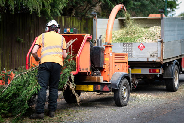 Lawn Watering Services in Front Royal, VA